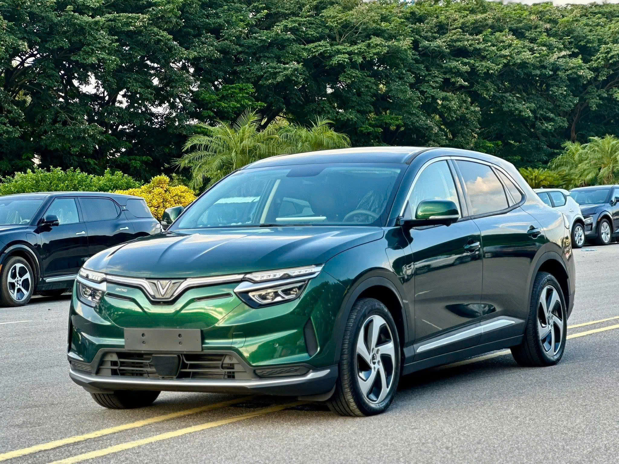 ►  VF 8: 1ty019 - 1ty199